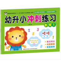 幼升小冲刺练习 数学1