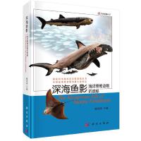 深海鱼影海洋脊椎动物的奥秘