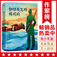 钢铁是怎样炼成的（专为中小学生打造！全新未删节插图珍藏版！译自俄语原版《钢铁是怎样炼成的》！新增全新导读！作家榜出品）