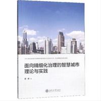 面向精细化治理的智慧城市理论与实践