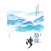 骆驼湾——献给在脱贫攻坚中砥砺奋进的践行者