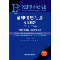 全球信息社会蓝皮书：全球信息社会发展报告2019-2020