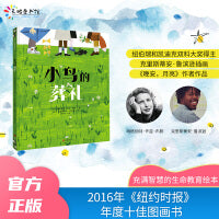 小鸟的葬礼