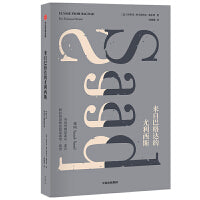 来自巴格达的尤利西斯（施米特作品）