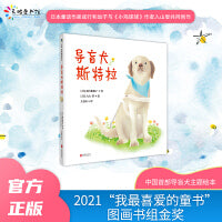 导盲犬斯特拉