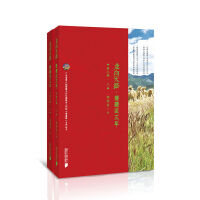 走向天路：援藏这三年第三辑（上册、下册）