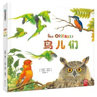 鹦鹉螺系列：鸟儿们
