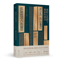 我的心迟到了：佩索阿情诗（北岛、舒婷、西川、阿乙推荐，葡萄牙诗人佩索阿情诗集结）