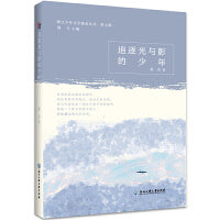 追逐光与影的少年