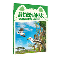我的动物朋友:草原上飞舞的精灵 黄嘴犀鸟