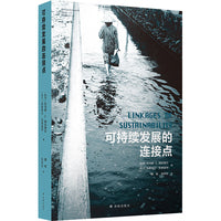 可持续发展的连接点（城市与生态文明丛书）