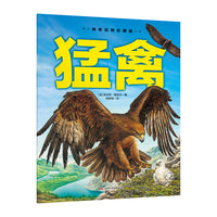神奇动物在哪里-猛禽