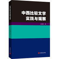 中西比较文学实践与观察