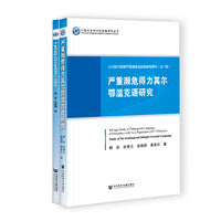 人口较少民族严重濒危语言抢救性研究（套装全2册）