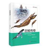 巨鲸传奇