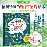 恐龙小Q  去野外看路边的奇花异草 精装科普大开本 6-12岁