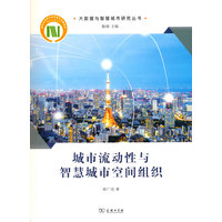 城市流动性与智慧城市空间组织(大数据与智慧城市研究丛书)