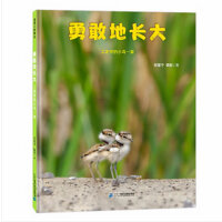 勇敢地长大 在故事中理解环保理念和生态文明对自然的影响