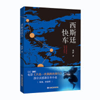 西斯廷快车 高萨著 李孟桥导演电影《只是一次偶然的旅行》部分灵感源自本小说