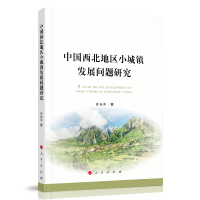 中国西北地区小城镇发展问题研究