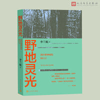 野地灵光——我住精神病院的日子