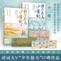 鲜衣怒马少年时12全2册套装