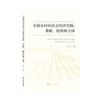 中国农村的社会经济实践：策略、障碍和主体