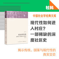 社区的历程：溪村汉人家族的个案研究