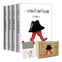 王小波杂文套装