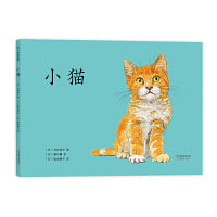 小猫
