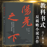 《阳光之下》（一部难得的“教科书式”的反腐败小说力作！）