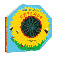 小手翻一翻·大自然的秘密  又大又美向日葵