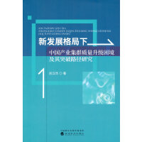 新发展格局下中国产业集群质量升级困境及其突破路径研究