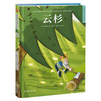 超好看的西方经典童话绘本:云杉 精装童话故事绘本
