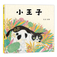 小王子（小王子是一只猫，一只尝试去改变的猫）