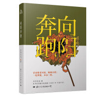《向阳奔跑》（青春像条河流，蜿蜒哀愁；一觉梦醒，水过三秋。本书已改编为电视剧《与你十年  予我半生》
