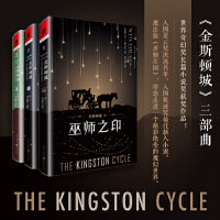 金斯顿城套装（共三册，巫师之印+风暴之歌+灵魂之星）