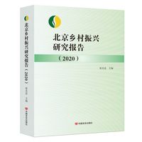 北京乡村振兴研究报告2020