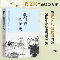 我们的老时光（著名作家肖复兴全新散文集）