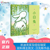 小白兔（凯文·汉克斯作品）