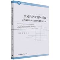 高成长企业发展研究——江苏省高成长企业空间集聚与关联