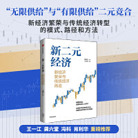 新二元经济:新经济繁荣与传统经济再造