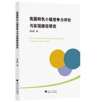 我国特色小镇竞争力评价与实现路径研究