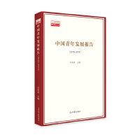 中国青年发展蓝皮书（2018—2019）