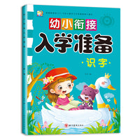 幼小衔接入学准备 识字 大开本 幼升小入学准备同步练习