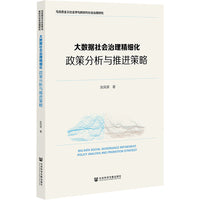 大数据社会治理精细化：政策分析与推进策略
