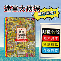 迷宫大侦探皮埃尔：寻找被盗的迷宫石+保卫帝国迷宫塔的宝藏+守护天空之城的迷宫蛋（套装三册）