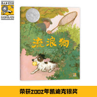 流浪狗