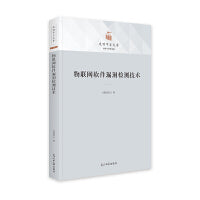 物联网软件漏洞检测技术