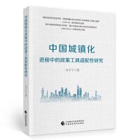 中国城镇化进程中的政策工具适配性研究